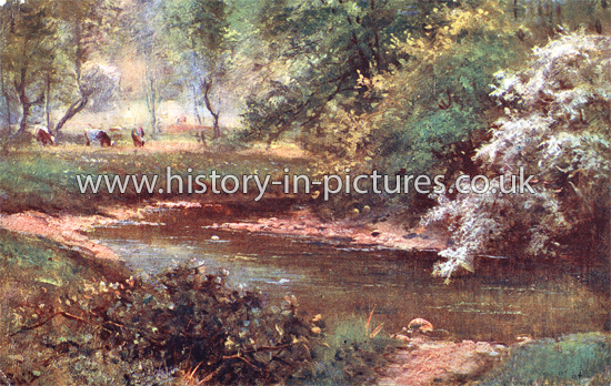 The Ching Brook, Epping Forest, Essex. c.1905